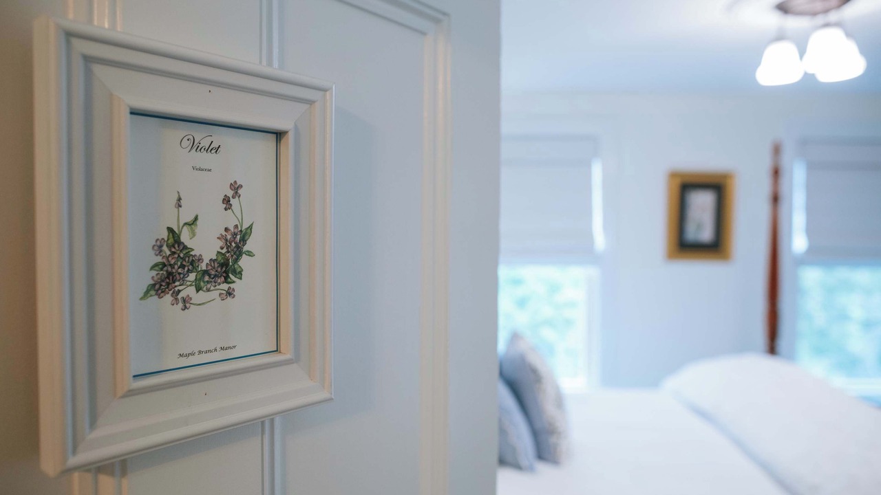 Photo of Bedroom in Town of Marlborough