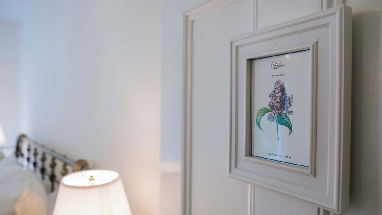 Photo of Others in Town of Marlborough