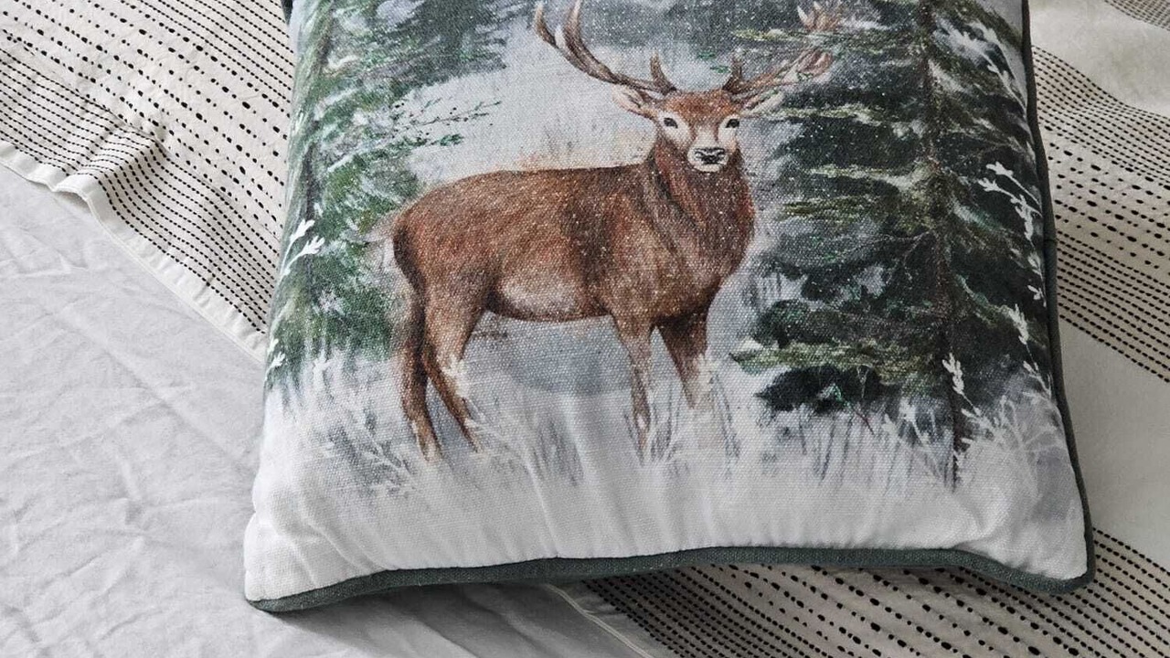 Photo of Others in Perth