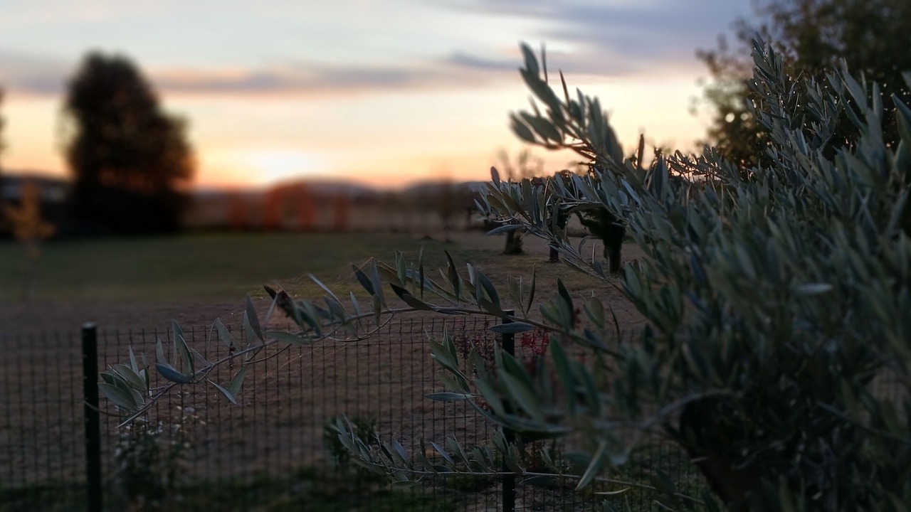 Photo of Outdoor in Saint-Georges