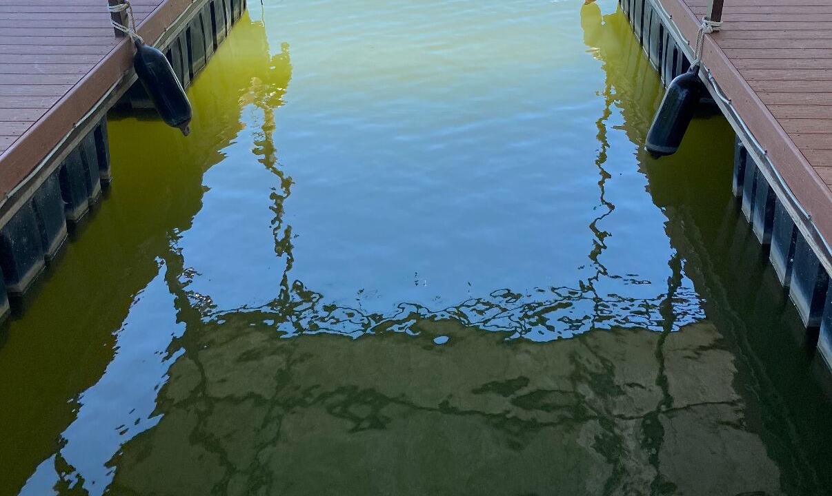 Photo of Others in Lake Brownwood