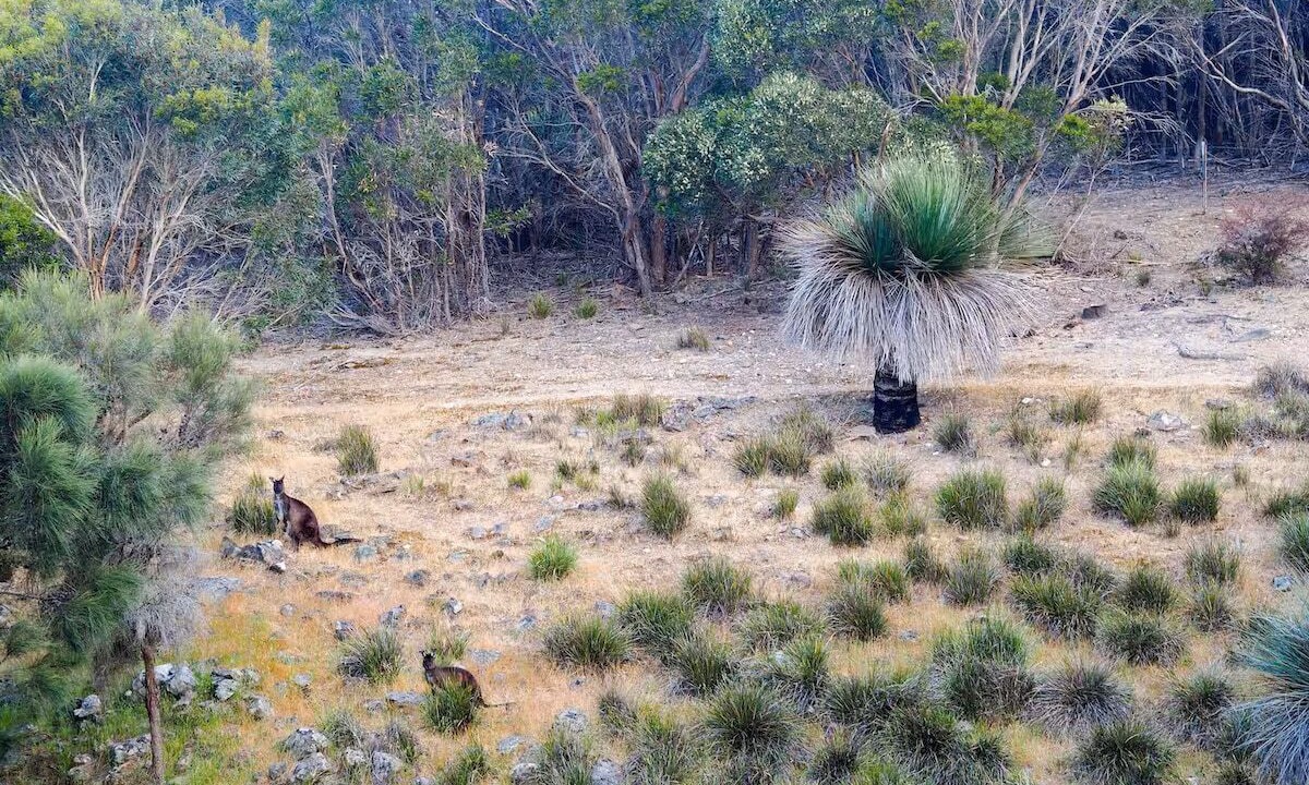 Photo of Others in Cuttlefish Bay
