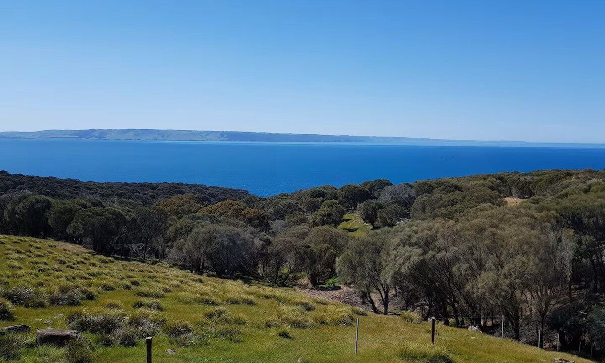 Photo of Others in Cuttlefish Bay