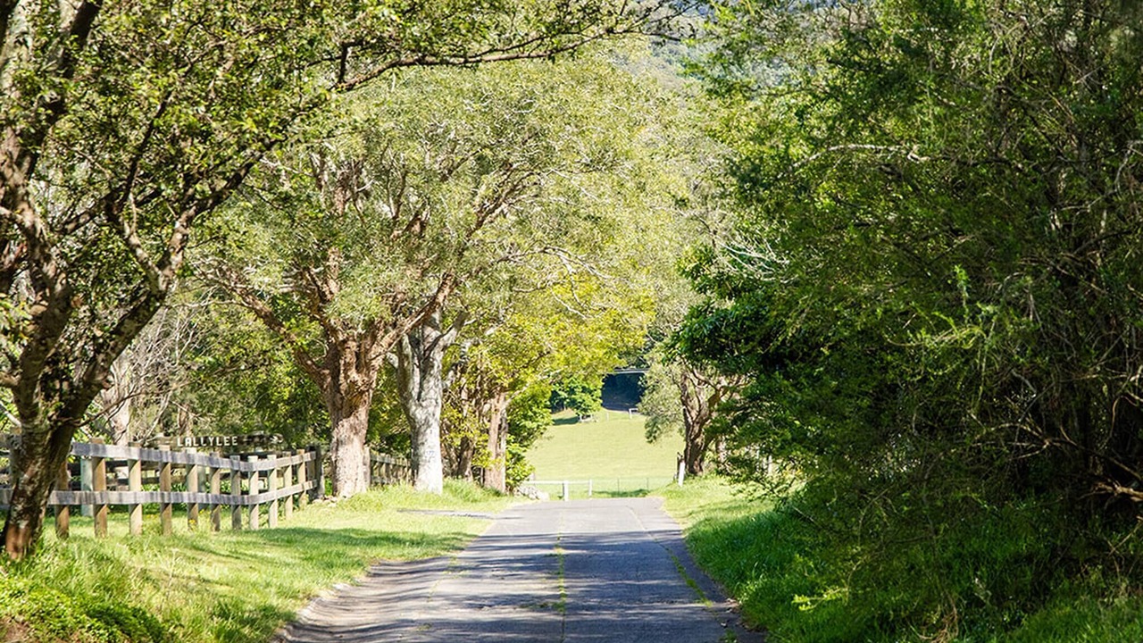 Photo of Others in Foxground