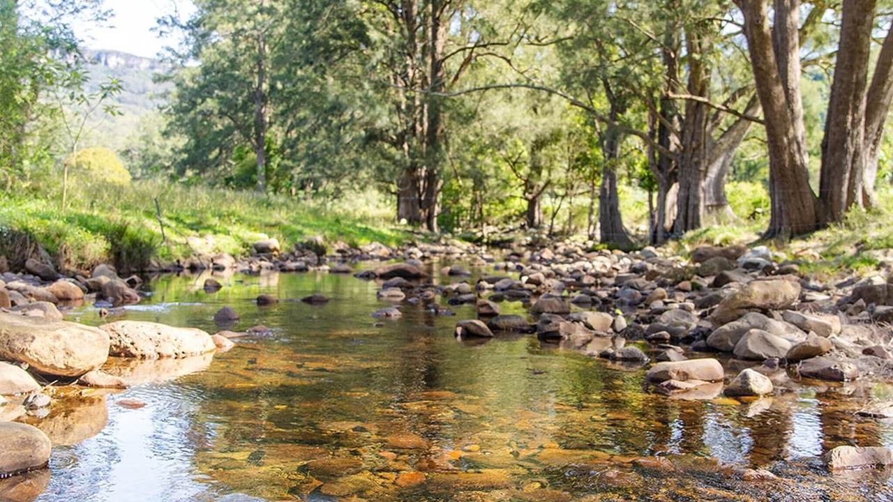 Photo of Others in Foxground