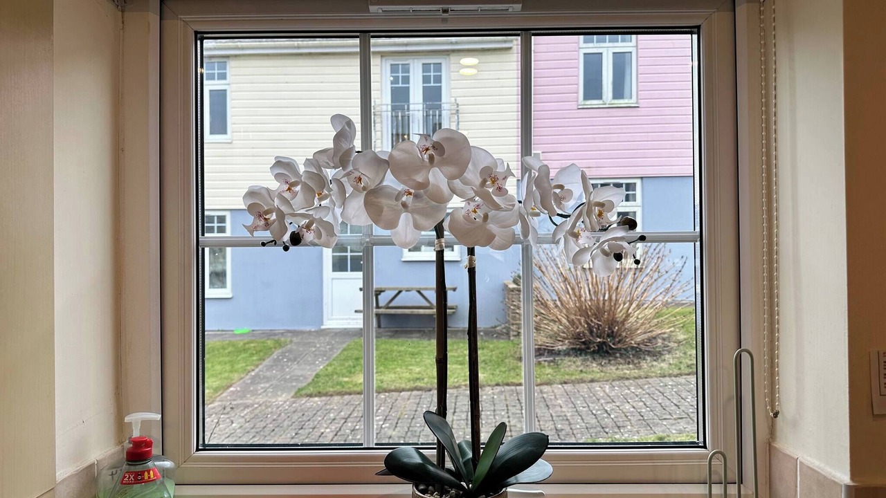 Photo of Others in Saint Columb Major