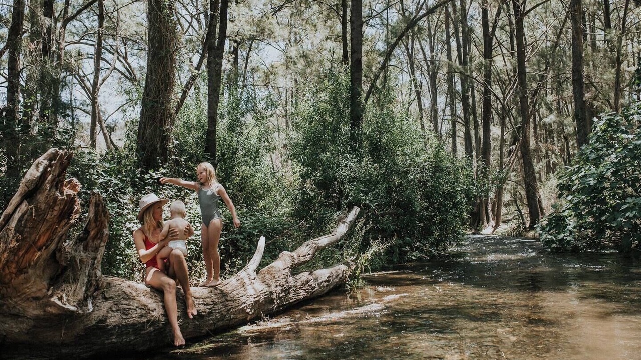 Photo of Others in Riverlea