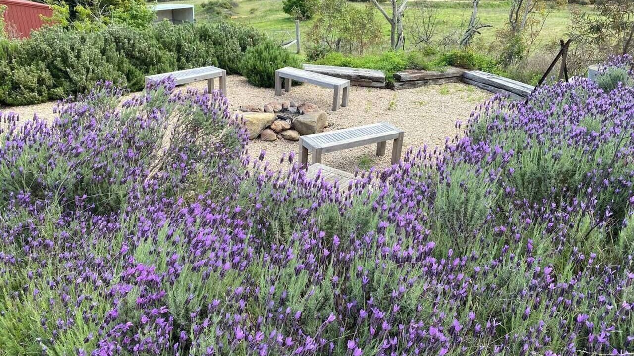 Photo of Others in Riverlea