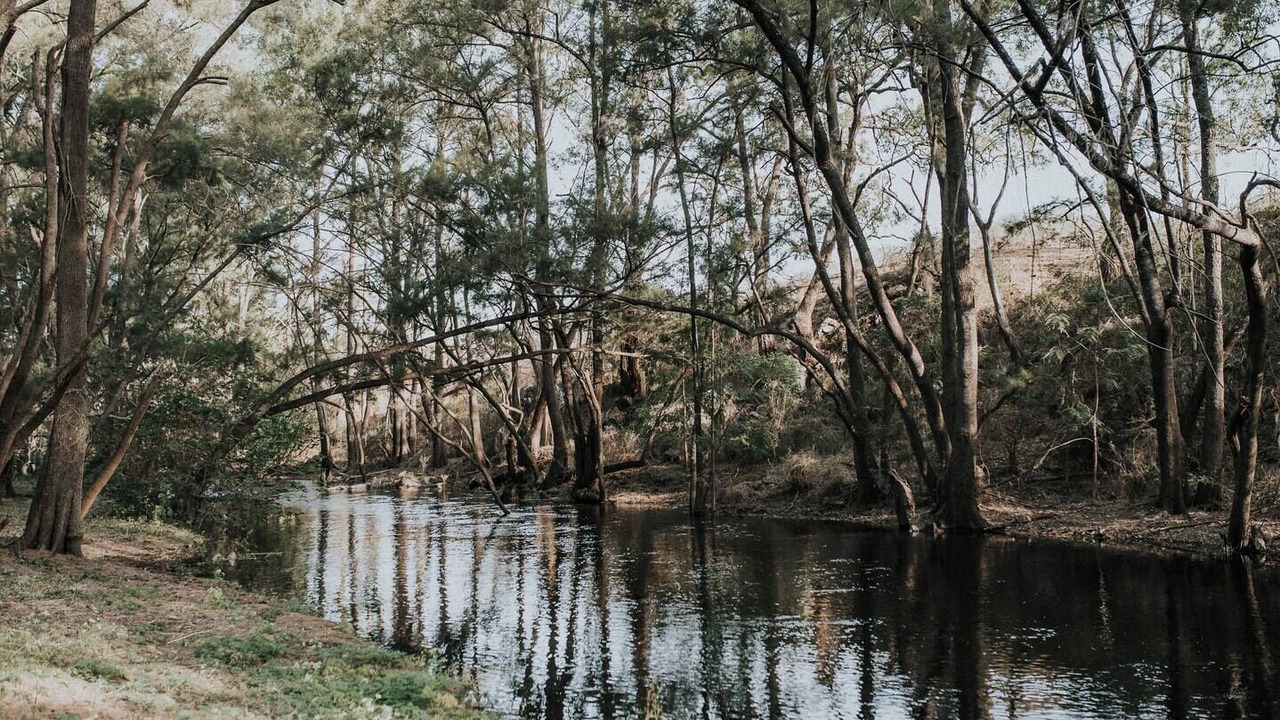 Photo of Others in Riverlea