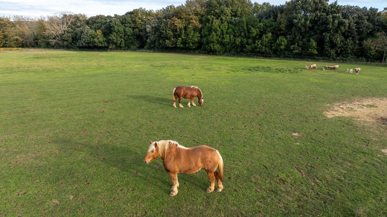 Photo of Others in La Garde-Adhemar