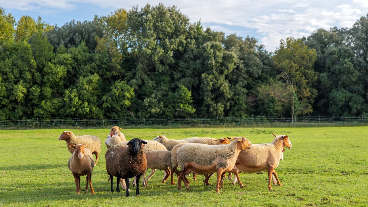 Photo of Others in La Garde-Adhemar