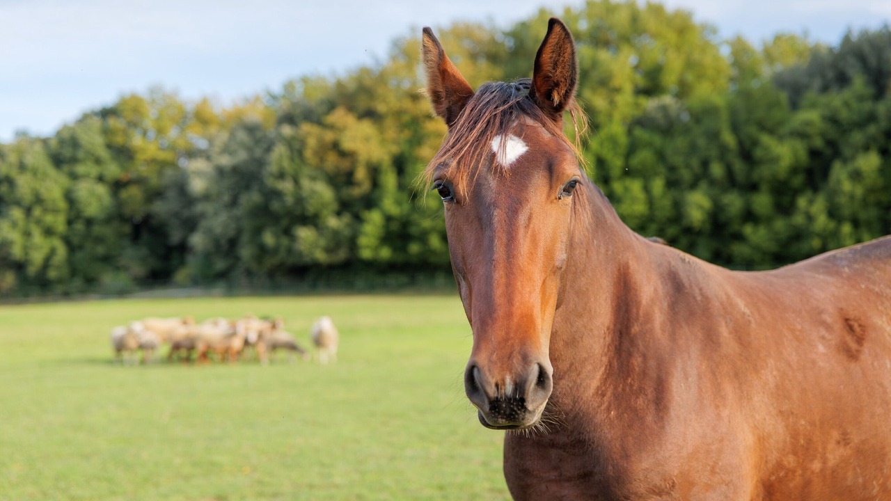 Photo of Others in La Garde-Adhemar