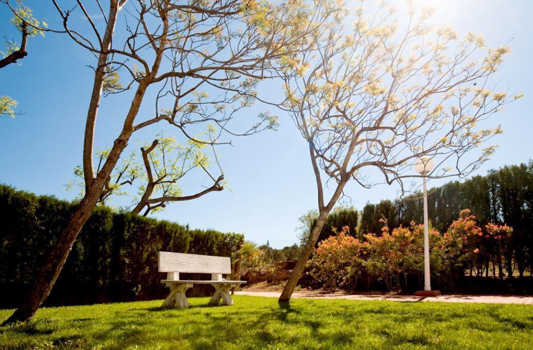 Photo of Outdoor in Borriol