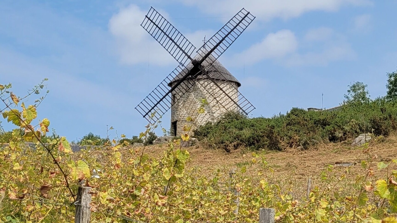 Photo of Others in Baguer-Pican