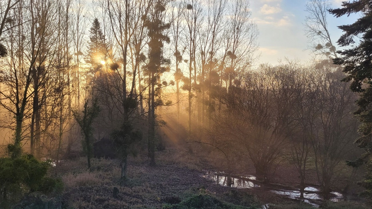 Photo of Others in Baguer-Pican