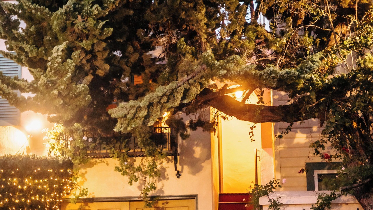 Photo of Outdoor in Marina District