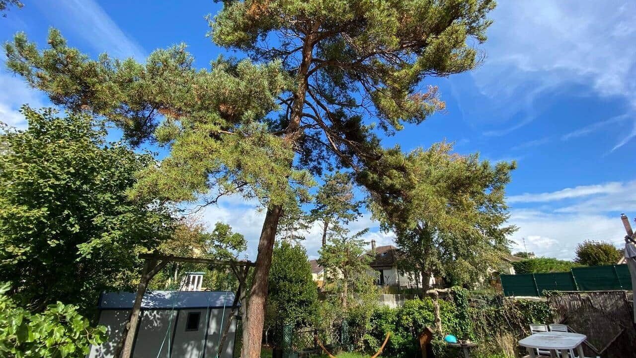 Photo of Outdoor in Merville-Franceville-Plage