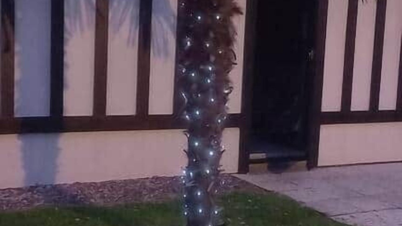 Photo of Outdoor in Merville-Franceville-Plage