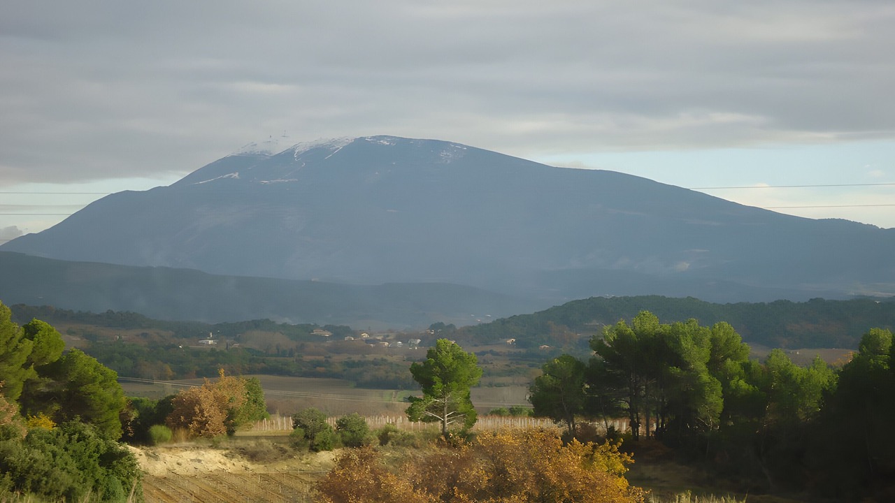 Photo of Others in Montbrison-sur-Lez