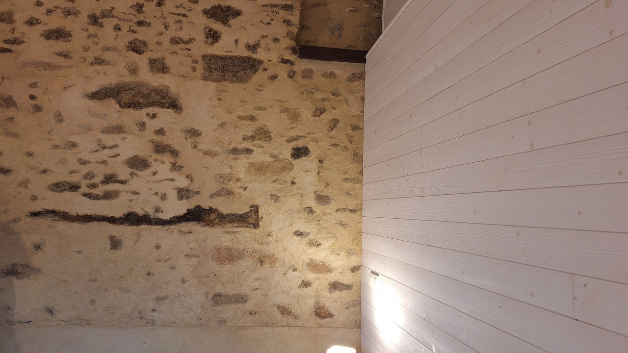 Photo of Others in La Chapelle-Palluau