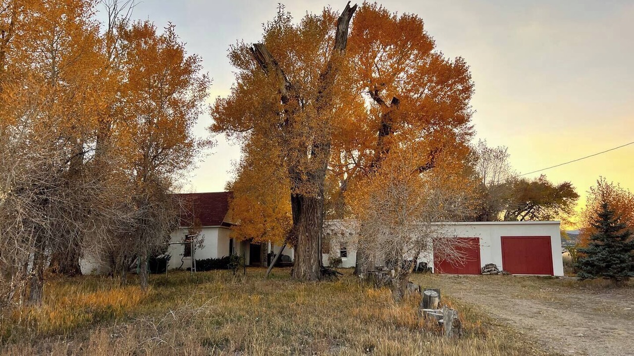 Photo of Others in Red Wing
