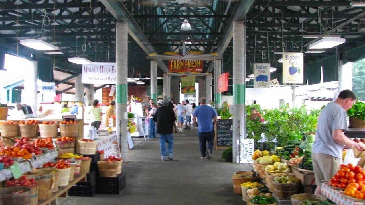Photo of Others in Buena Vista