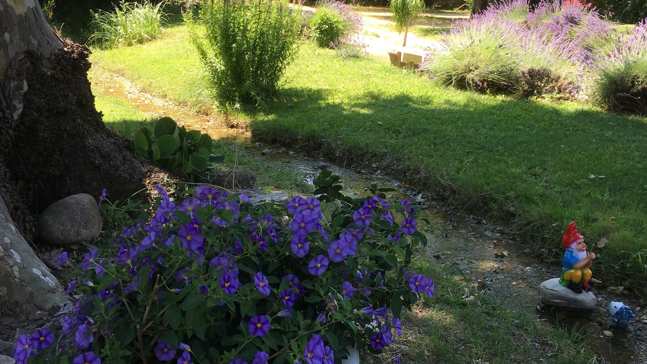 Photo of Outdoor in Puget