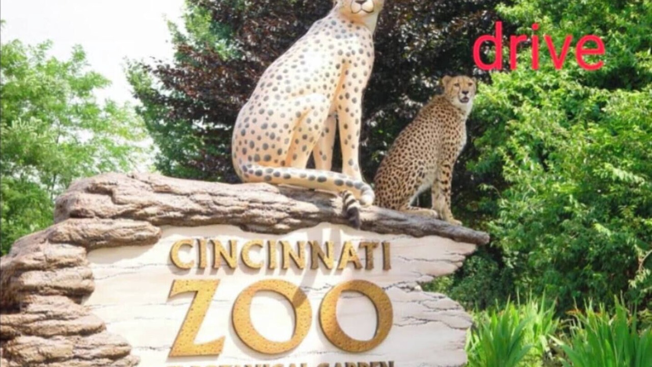 Photo of Others in Erlanger