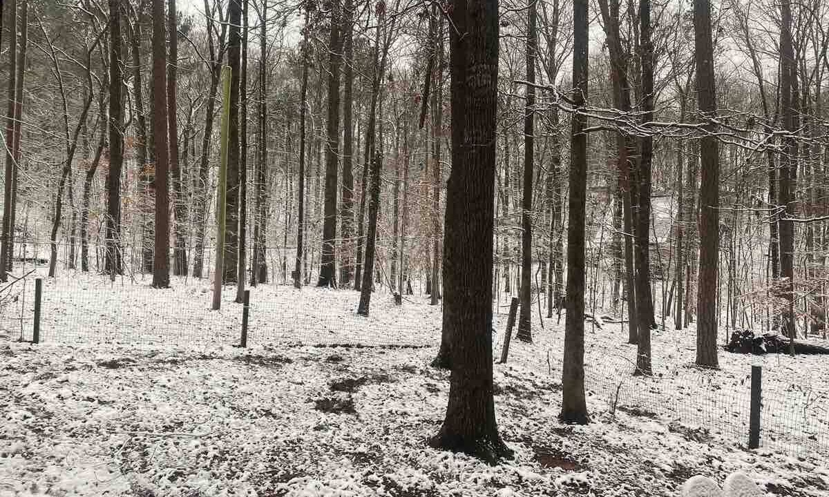 Photo of Outdoor in Counce