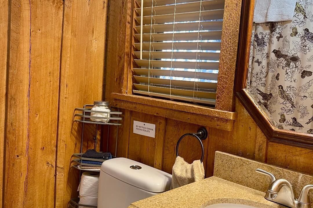Photo of Bathroom in Counce