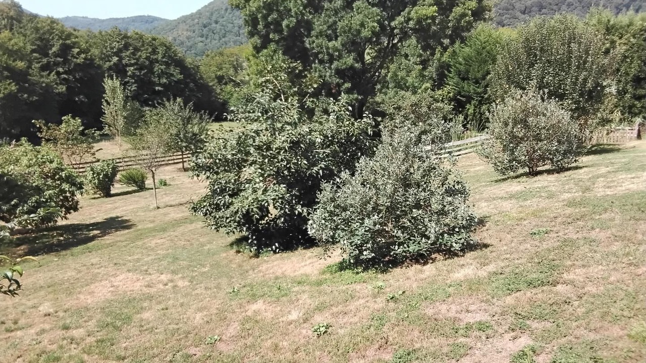 Photo of Outdoor in Montastruc-de-Salies