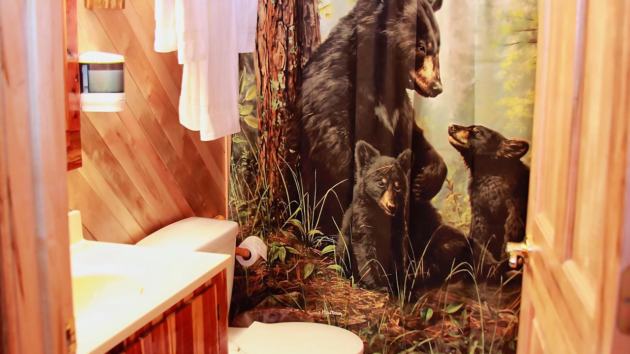 Photo of Bathroom in Henlawson