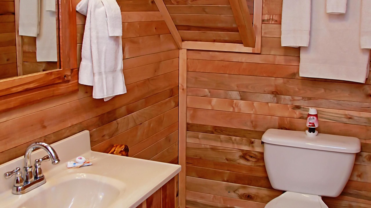 Photo of Bathroom in Henlawson