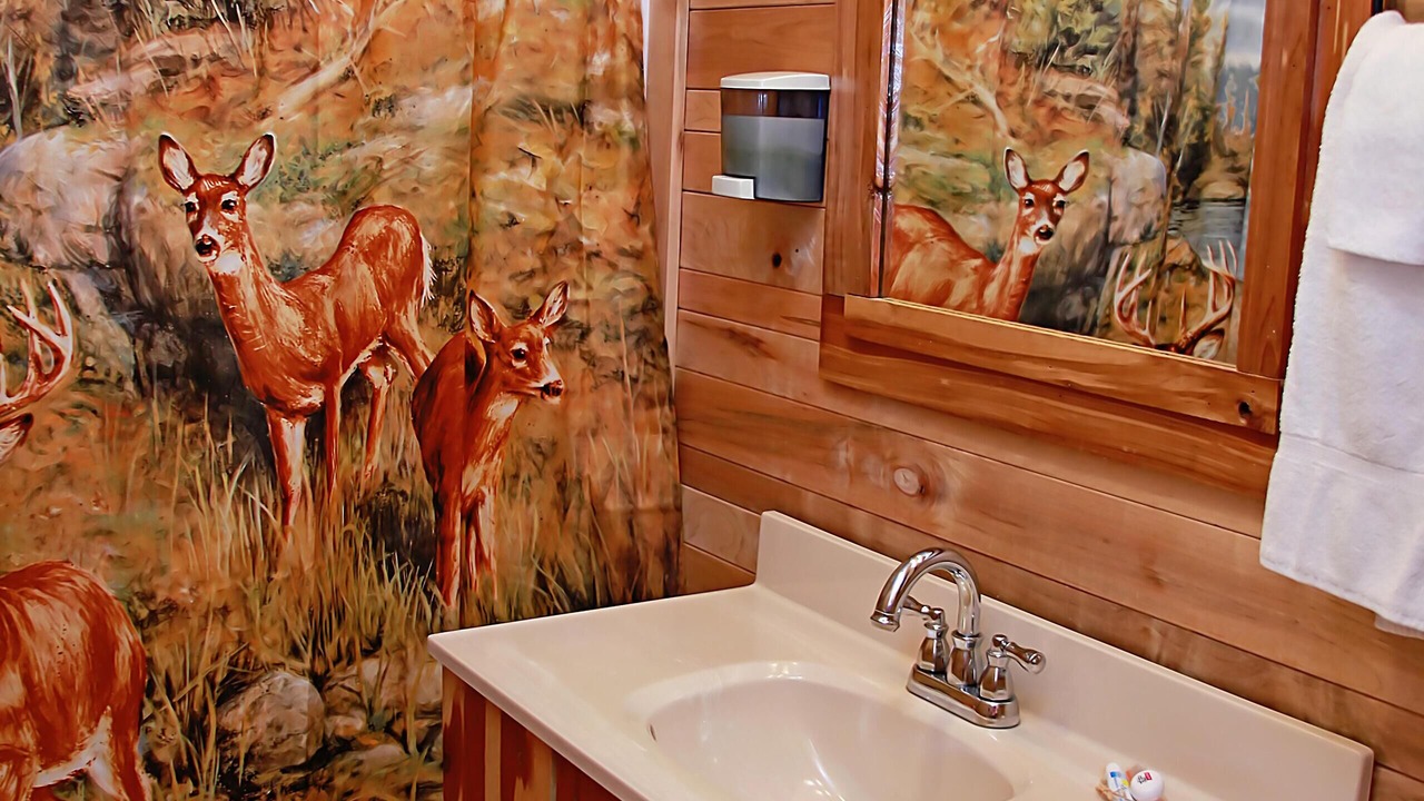 Photo of Bathroom in Henlawson
