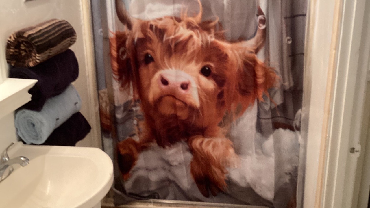 Photo of Others in High Springs