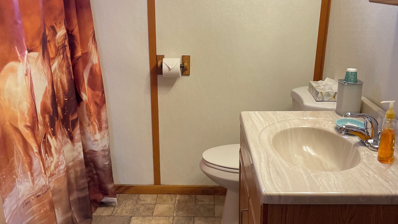 Photo of Bathroom in Winston