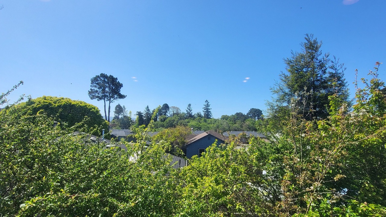 Photo of Others in Arcata