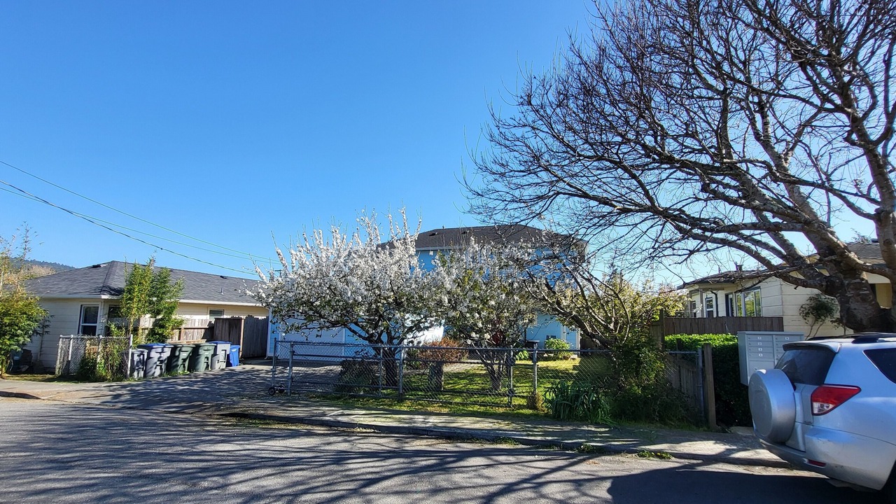 Photo of Outdoor in Arcata