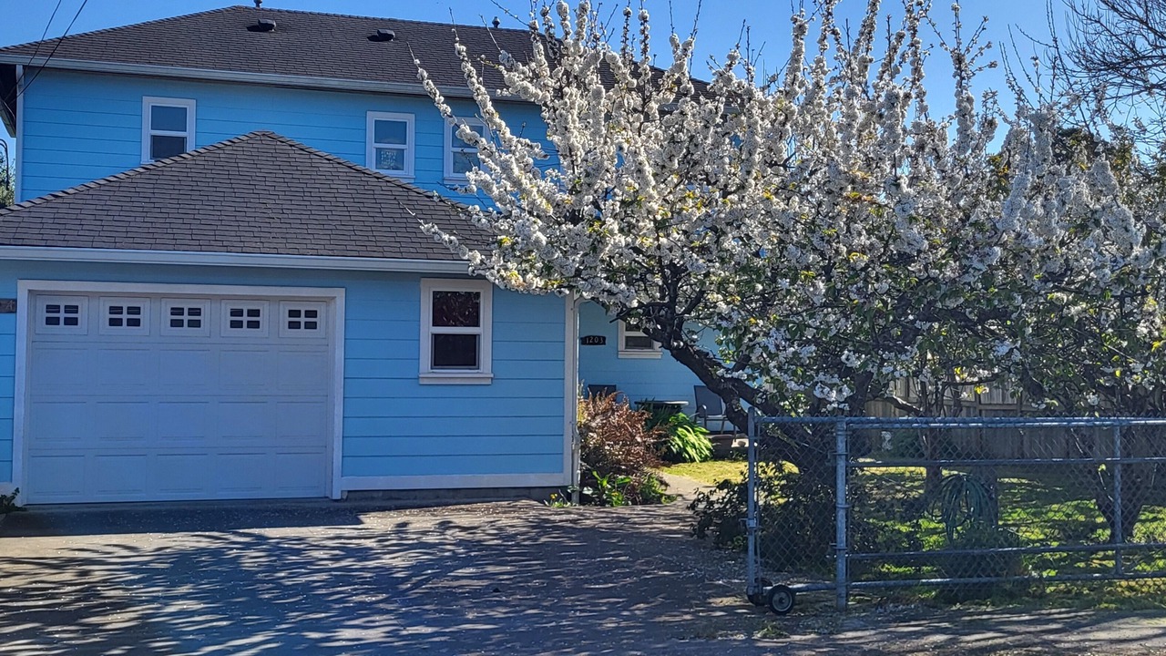 Photo of Outdoor in Arcata