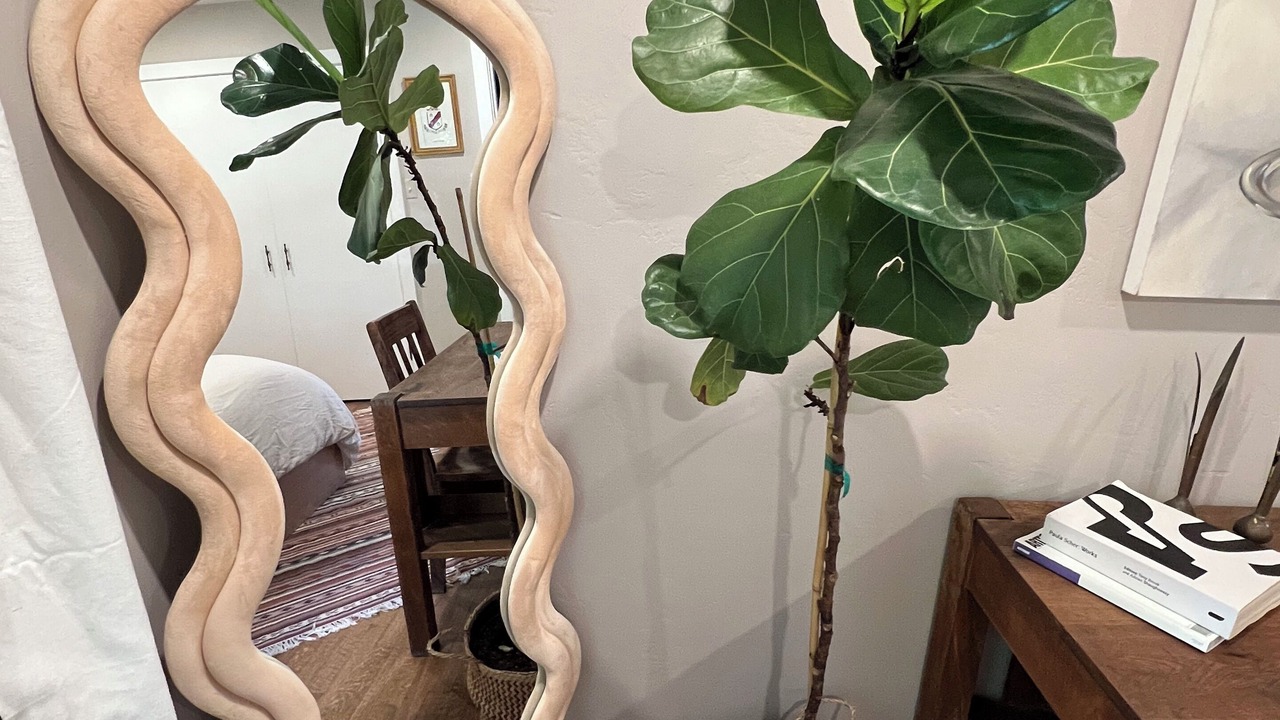 Photo of Others in Lodi