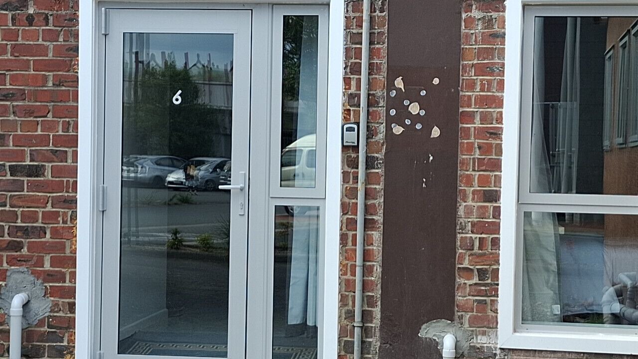 Photo of Outdoor in Auckland