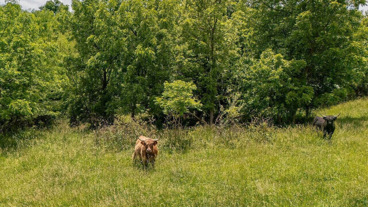 Photo of Others in Buchanan County