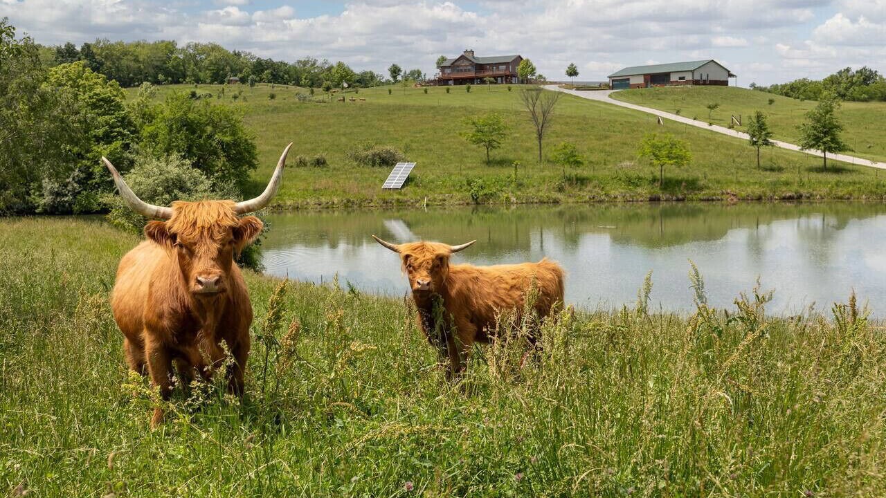 Photo of Others in Buchanan County