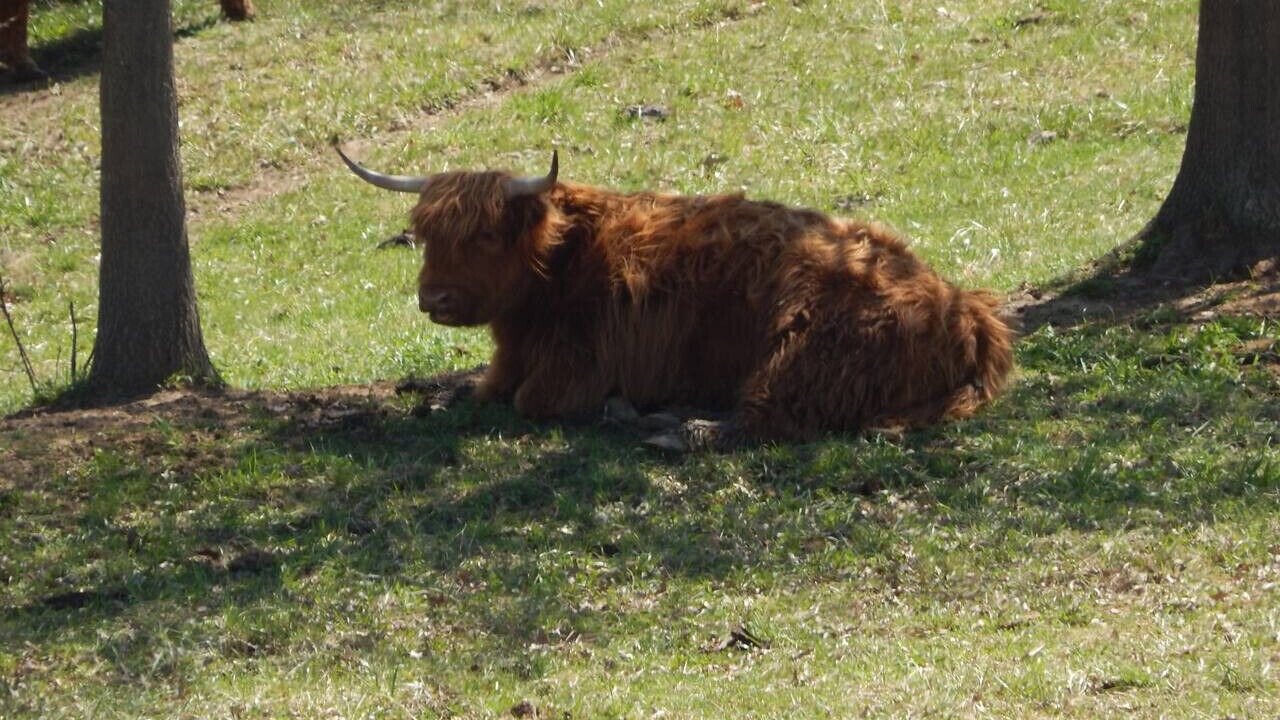 Photo of Others in Buchanan County