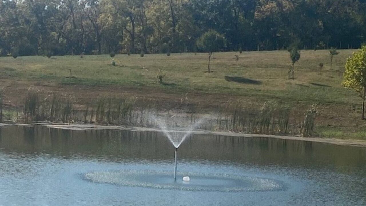 Photo of Others in Buchanan County
