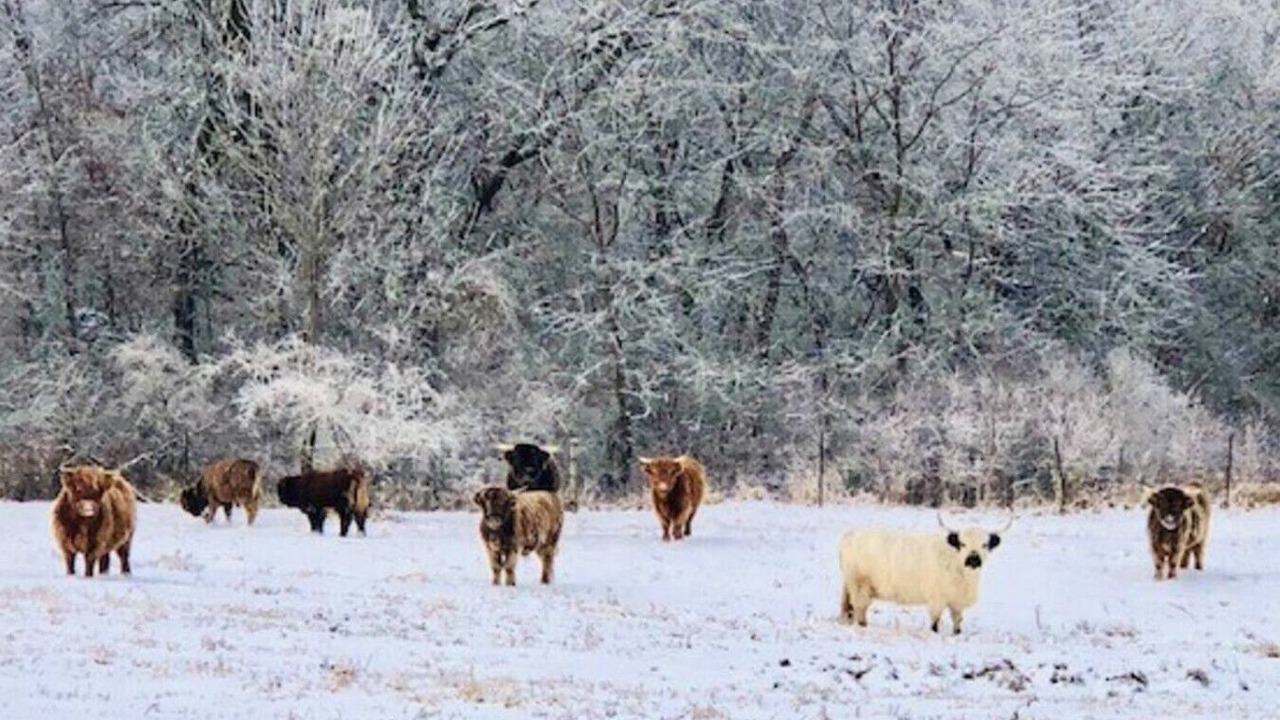 Photo of Others in Buchanan County