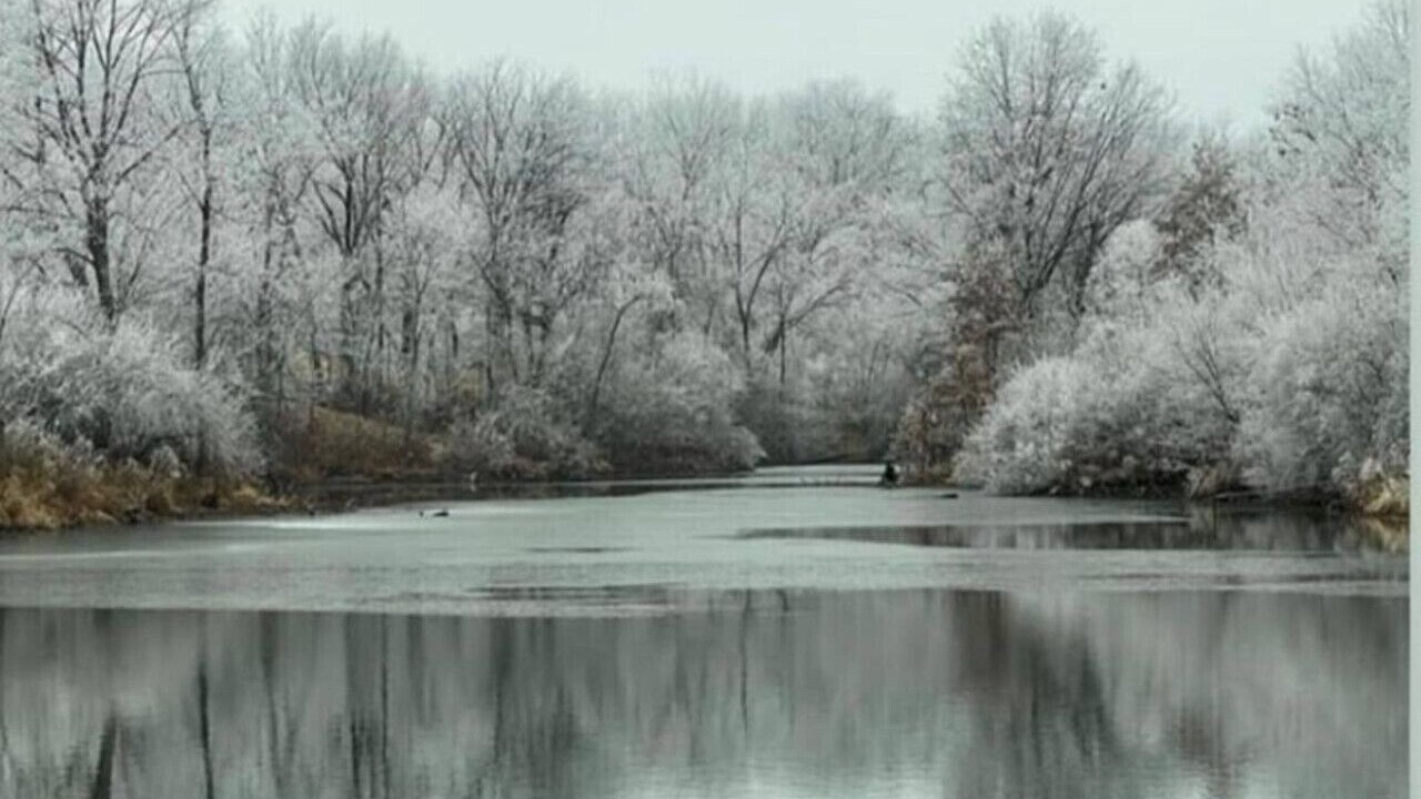 Photo of Others in Buchanan County
