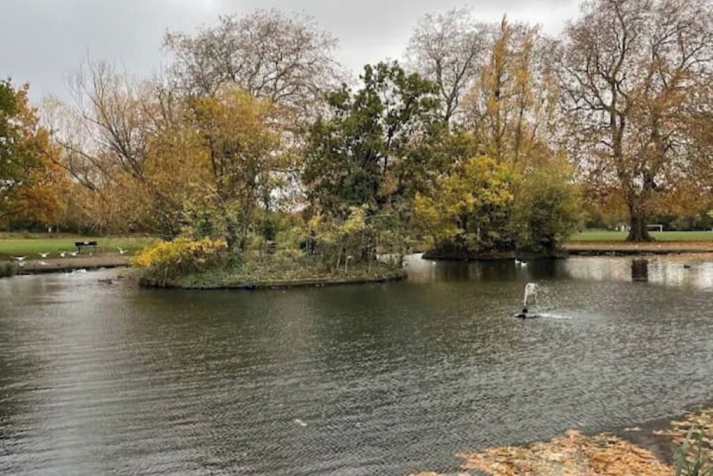 Photo of Others in Northcote