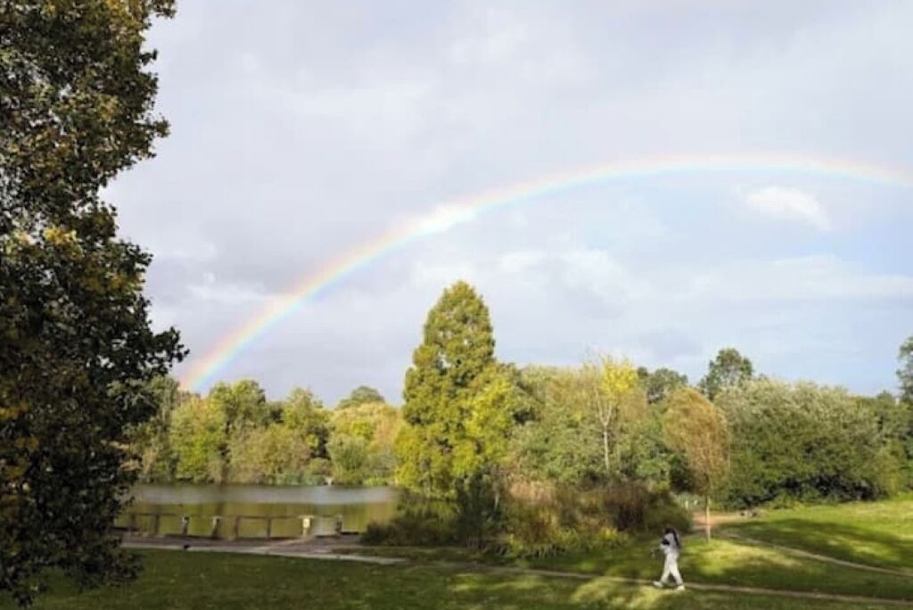 Photo of Others in Northcote