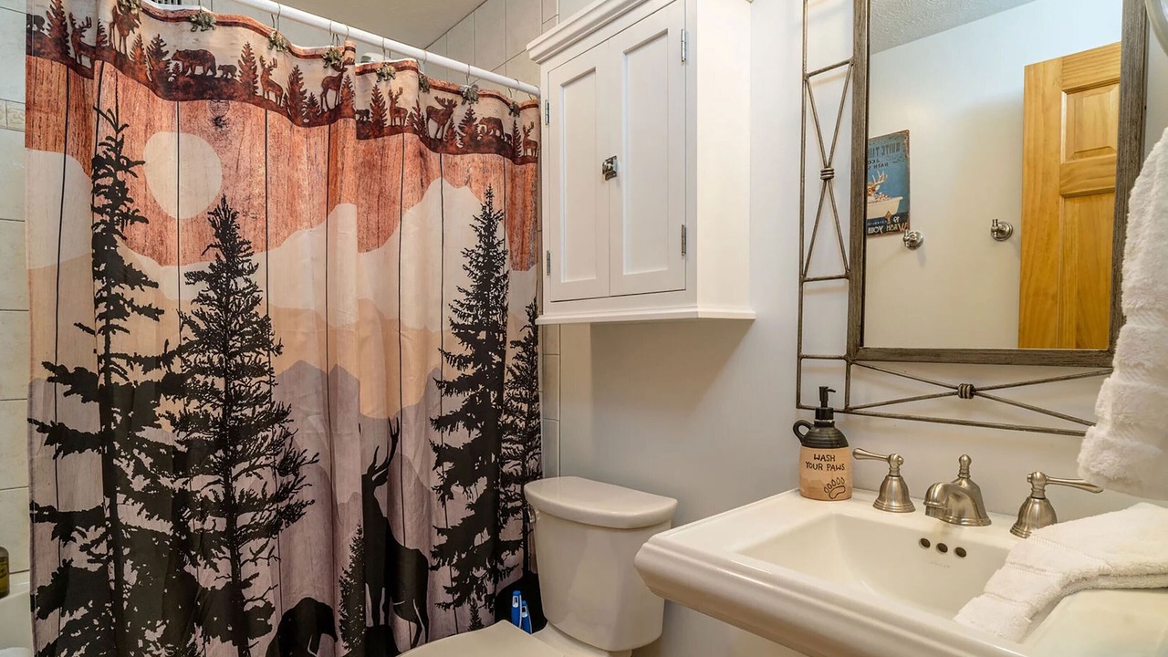 Photo of Bathroom in Massanutten